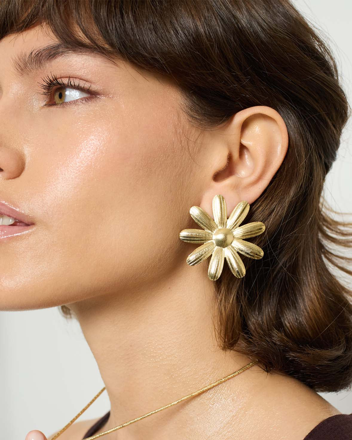 Daisy non -pending copy